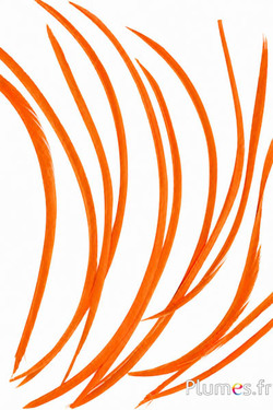 Gans - 10-17 cm - oranje